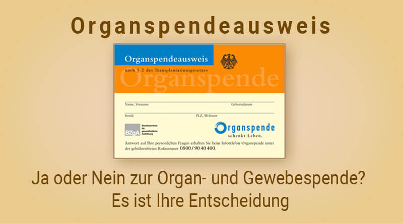 Organspende