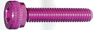 Take Off - M3x15mm Zylinderkopfschraube purple (4) (TS306P)