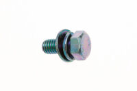 Zenoah - Schraube Kupplungsbacken - Aufnahme M6x14 (ZN0038)