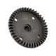 Hobbico - Differential-Tellerzahnrad 43 (AR310441)