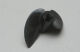 Ripmax - Marine Propeller 42mm 21XM (X-OS23870000)
