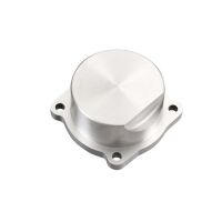 Ripmax - Cover Plate - GT15HZ (X-OS28157000)