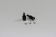 Team C - Kegel-Diff. Mitnehmer 4WD Buggy (T04043)