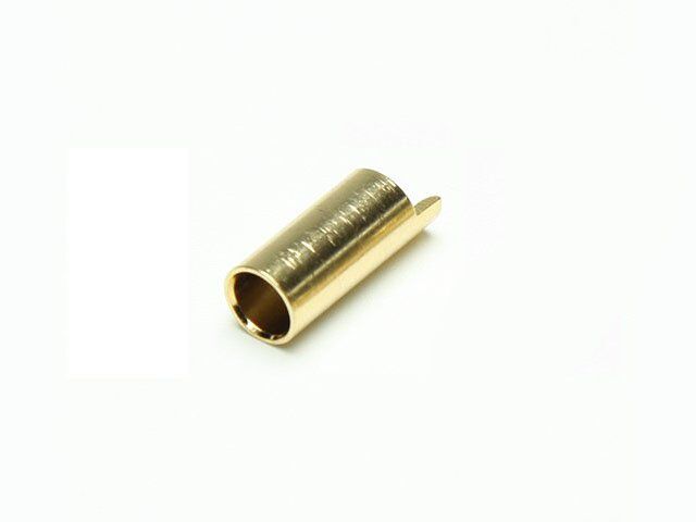 Pichler Gold Buchse 5.5mm (VE=50St.) (C6889)