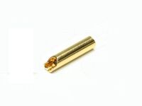 Pichler Gold Buchse 4,0 mm (VE=50) (C6543)