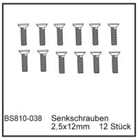 D-Power Senkschrauben 2,5x12mm (12 Stück) - BEAST BX...
