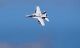F/A-18 Super Hornet Jet EDF 70 PNP - 870mm