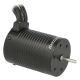 Robitronic - Razer ten Brushless Motor 3652 4000kV (R01232)