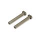 Horizon Hobby - Steering Post (2): 8X (TLR241050)