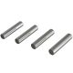 Horizon Hobby - AR713024 Pin 2x10mm (4) (ARAC8007)