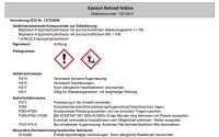 R&G - EP-Gelcoat farblos mit Härter GL1 20 Minuten - 645g