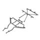 Horizon Hobby - Roll Cage Front & Roof: Super Rock Rey (LOS251077)