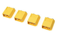 G-Force RC - Steckverbinder - XT-60PB - Goldkontakten -...