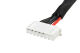 G-Force RC - Balancer-Adapterkabel - 6S-XH Buchse <=> 4S-EH Stecker - 30cm - 22AWG Silikon Kabel - 1 St (GF-1424-003)