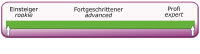 Para-RC - RC-FLAIR 2.4 - gelb/schwarz/rot
