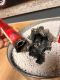 10l Extover® coarse bucket fire extinguishing granulate