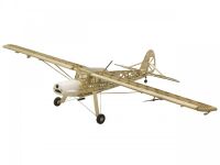 Pichler Fieseler Storch Fi156 / 1600 mm (C2307)