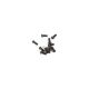 Horizon Hobby - M2.5 x 6mm, Button Head Screw (10) (AXI235097)