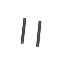 PR Racing - S1 V2 RTR 3x29.8mm pin x2pcs (PR66430100)