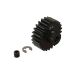 Horizon Hobby - 24T HD Mod1 Pinion Gear (ARA310971)