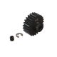 Horizon Hobby - 23T HD Mod1 Pinion Gear (ARA310970)
