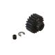Horizon Hobby - 20T HD Mod1 Pinion Gear (ARA310967)