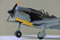 FW-190 Focke Wulf - 1720mm