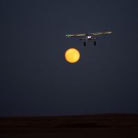 E-flite - Night Timber X 1.2 STOL BNF Basic - 1200mm