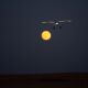 E-flite - Night Timber X 1.2 STOL BNF Basic - 1200mm
