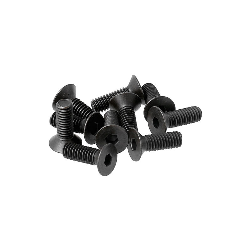HoBao - F/H Screws M4x12, 10pcs (H31412)