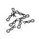 HoBao - Body Clip, 8 PCS (H230071)