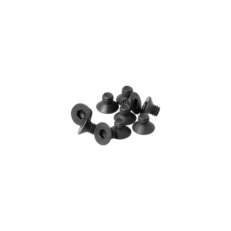 HoBao - M 3 x 4 FLAT HEAD SCREW, 10PCS (H31304)