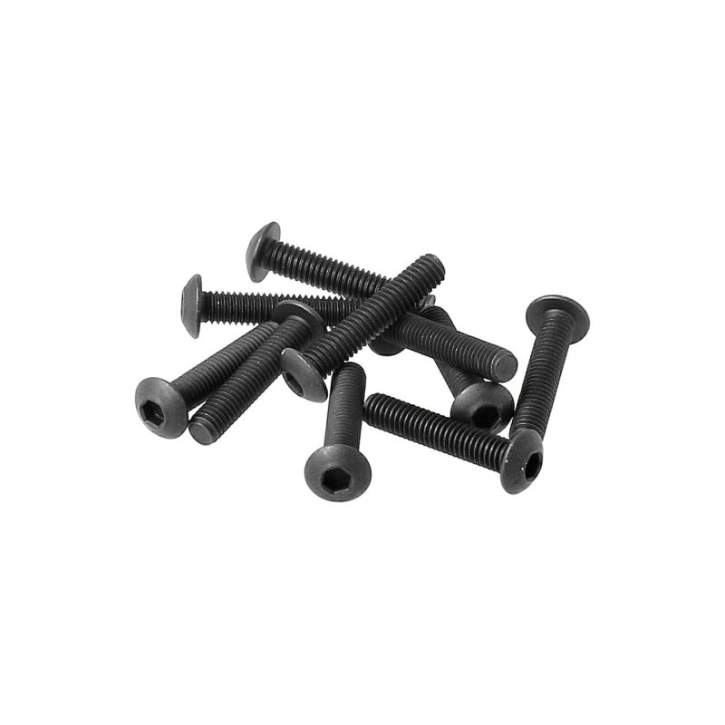 HoBao - M3x15mm PAN HEAD SCREWS, 10PCS (H35315)