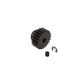 Horizon Hobby - 24T 0.8Mod Safe-D5 Pinion Gear (ARA311007)