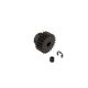 Horizon Hobby - 22T 0.8Mod Safe-D5 Pinion Gear (ARA311005)