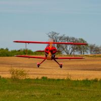 Pitts S-2B 50-60cc V2 ARF - 1841mm