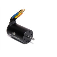 Horizon Hobby - FIRMA 3200KV 4-Pole BL Motor, 3660...