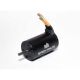 Horizon Hobby - FIRMA 3200KV 4-Pole BL Motor, 3660 (SPMXSM2000)