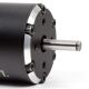 Horizon Hobby - Firma 1250KV Brushless Motor: 8mm (SPMXSM1205)