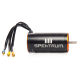 Horizon Hobby - FIRMA 800Kv 4-pole BL Motor (SPMXSM2600)