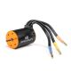 Horizon Hobby - Firma 6500Kv Brushless Motor (SPMXSM2800)