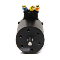 Horizon Hobby - FIRMA 3900Kv 4-pole BL Motor (SPMXSM3300)