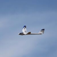 E-flite - Night Radian 2.0m BNF Basic - 2000mm