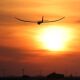 E-flite - Night Radian 2.0m BNF Basic - 2000mm