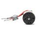 Horizon Hobby - Firma 20T Rebuildable 5 Pole Brushed Crawler Motor (SPMXSM5205)