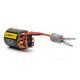 Horizon Hobby - Firma 35T Rebuildable 3 Pole Brushed Crawler Motor (SPMXSM5353)