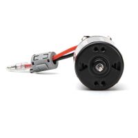 Horizon Hobby - Firma 80T Rebuildable 3 Pole Brushed Crawler Motor (SPMXSM5803)