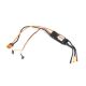 Horizon Hobby - Avian Lite 30-Amp Brushless Smart ESC (SPMXAE30A)