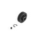 Horizon Hobby - 31T Mod1 Safe-D8 Pinion Gear (ARA311119)