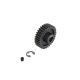 Horizon Hobby - 33T Mod1 Safe-D8 Pinion Gear (ARA311121)